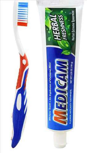 Picture of MEDICAM PASTE HERBAL FRESHNESS 150GM